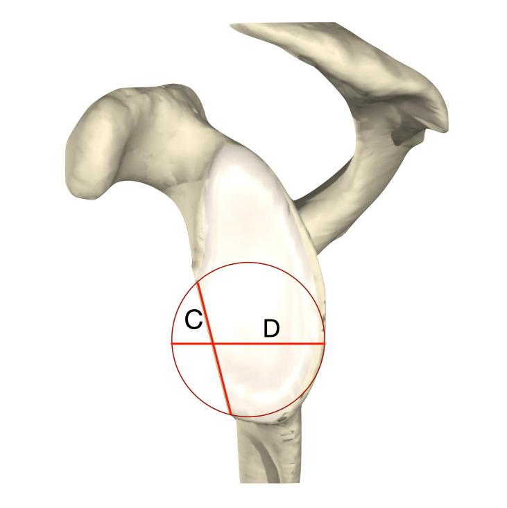 https://cdn.ncbi.nlm.nih.gov/pmc/blobs/87fa/10313462/b7ba8c4a65db/BJO-2023-0066.R1-galleyfig6.jpg