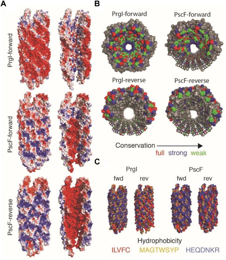 https://cdn.ncbi.nlm.nih.gov/pmc/blobs/87fd/6455054/81bbbecc238c/fmicb-10-00573-g006.jpg