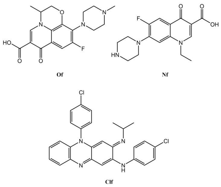https://cdn.ncbi.nlm.nih.gov/pmc/blobs/87fd/9865903/cd7b88f27bd1/ijms-24-01402-g001.jpg