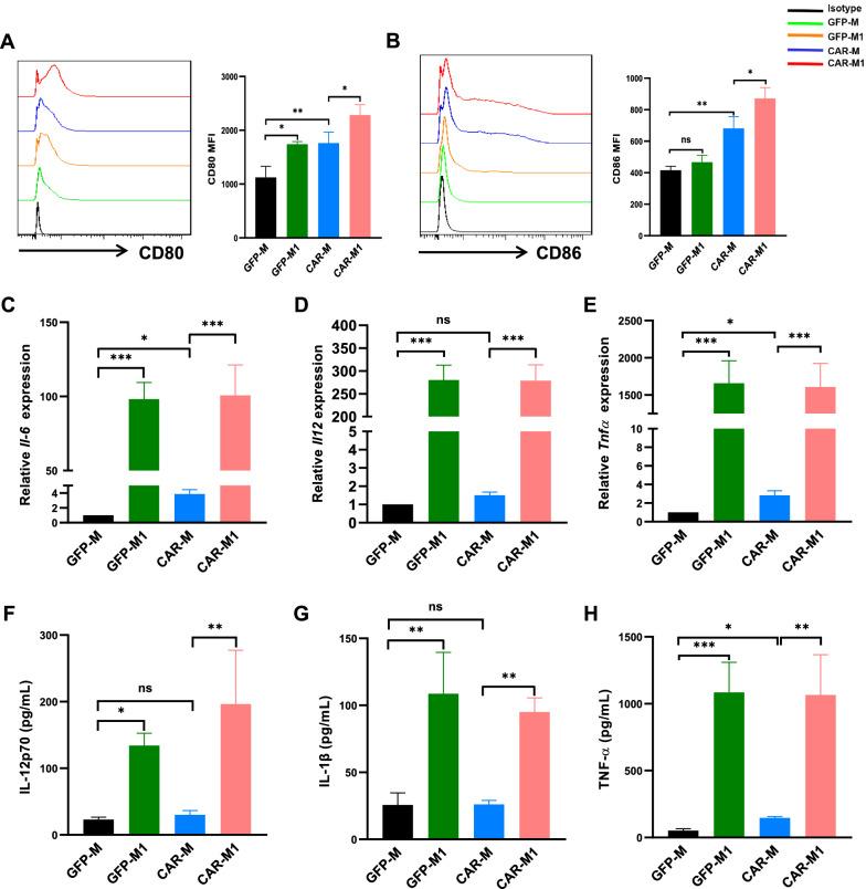 https://cdn.ncbi.nlm.nih.gov/pmc/blobs/87fe/10044396/4d759bdd588f/12967_2023_4061_Fig3_HTML.jpg