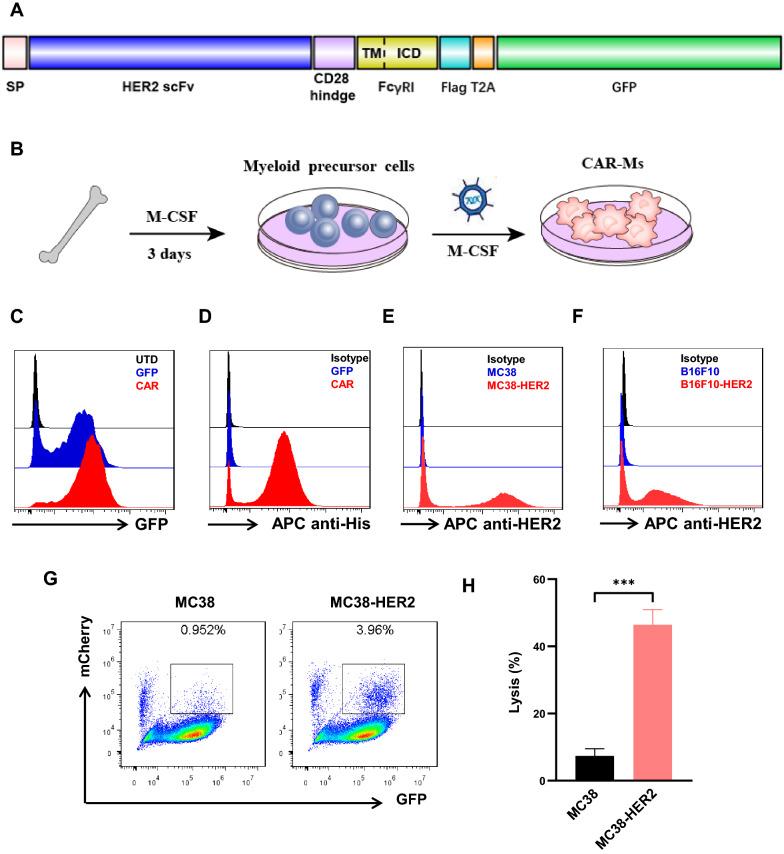 https://cdn.ncbi.nlm.nih.gov/pmc/blobs/87fe/10044396/b3946f913207/12967_2023_4061_Fig1_HTML.jpg