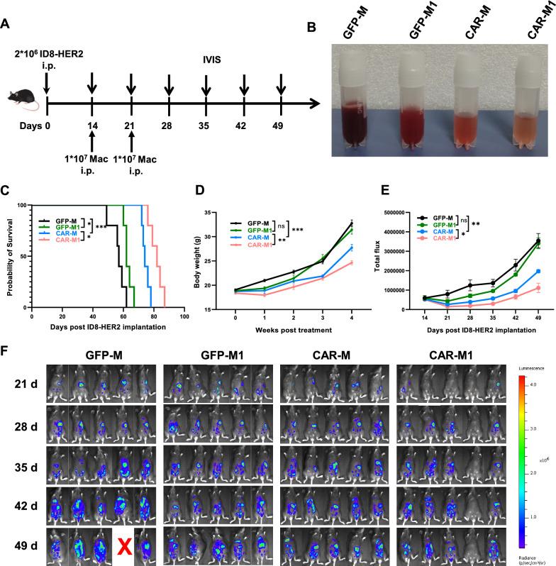 https://cdn.ncbi.nlm.nih.gov/pmc/blobs/87fe/10044396/ff01ff50dad0/12967_2023_4061_Fig4_HTML.jpg