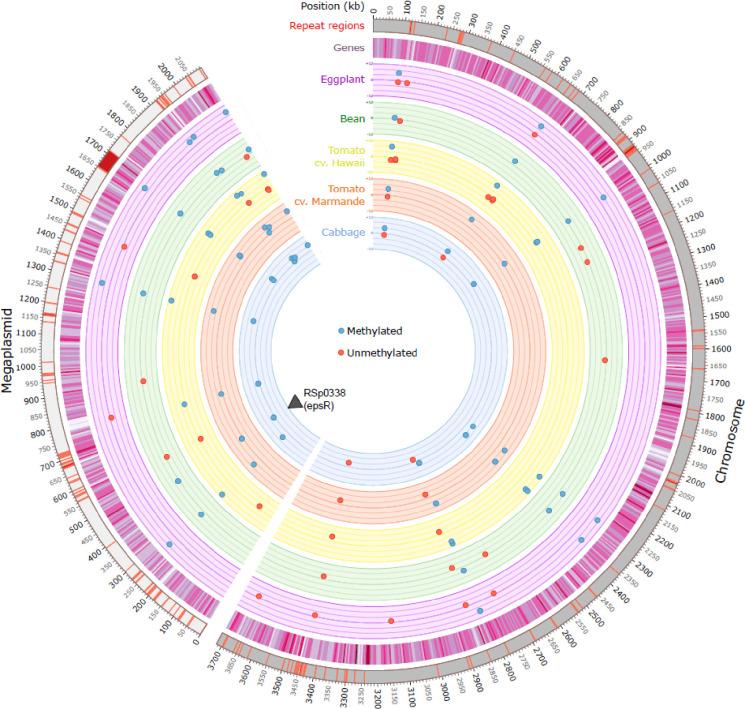 https://cdn.ncbi.nlm.nih.gov/pmc/blobs/8802/11460718/82c4eeca4a67/pbio.3002792.g002.jpg