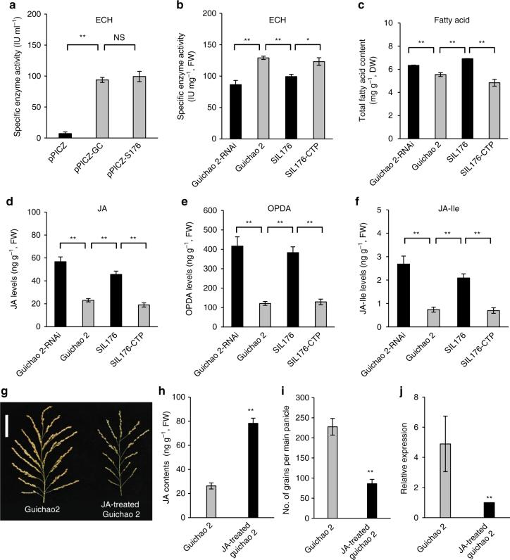 https://cdn.ncbi.nlm.nih.gov/pmc/blobs/8802/5684330/38d7806436a6/41467_2017_1501_Fig5_HTML.jpg