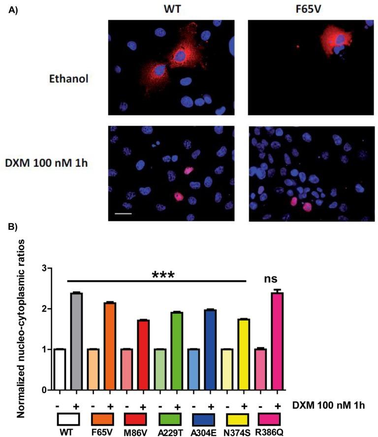 https://cdn.ncbi.nlm.nih.gov/pmc/blobs/8802/6467410/899c327338cf/js.2019-00028f4.jpg