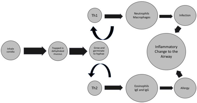 https://cdn.ncbi.nlm.nih.gov/pmc/blobs/8802/8157353/55a691fad86a/pathogens-10-00618-g001.jpg