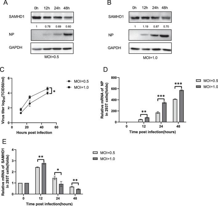 https://cdn.ncbi.nlm.nih.gov/pmc/blobs/8803/10826253/8d09c24c4feb/12985_2024_2295_Fig2_HTML.jpg