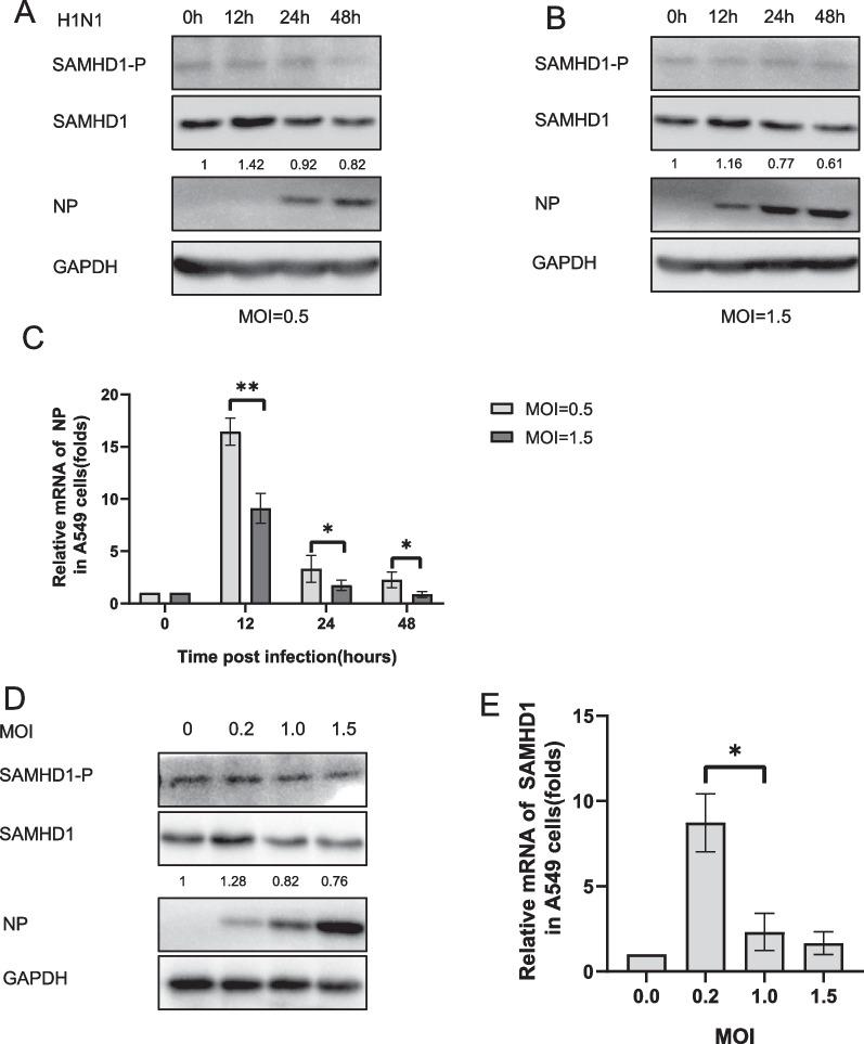 https://cdn.ncbi.nlm.nih.gov/pmc/blobs/8803/10826253/ae8206777d72/12985_2024_2295_Fig4_HTML.jpg
