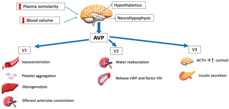 https://cdn.ncbi.nlm.nih.gov/pmc/blobs/8804/10672256/fa7a3430dd88/jpm-13-01548-g001.jpg