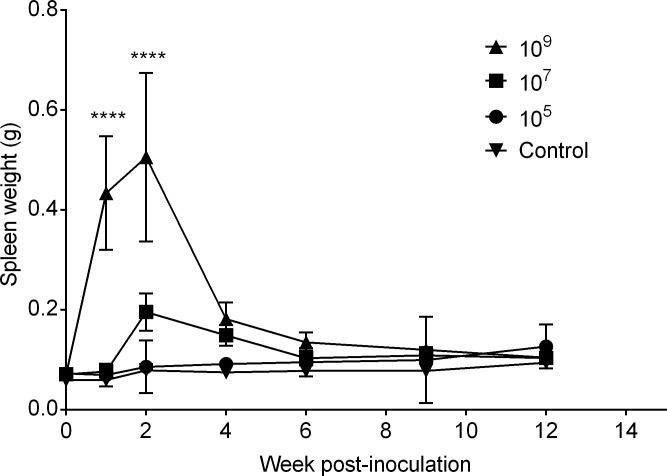 https://cdn.ncbi.nlm.nih.gov/pmc/blobs/8805/6586350/e6c385aacb4c/pone.0218809.g002.jpg