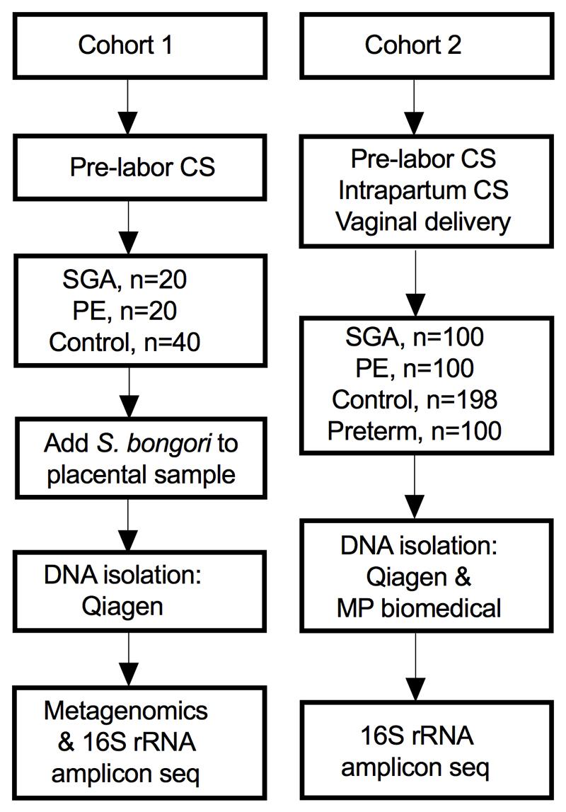 https://cdn.ncbi.nlm.nih.gov/pmc/blobs/8805/6697540/51df56b893e8/EMS83569-f005.jpg