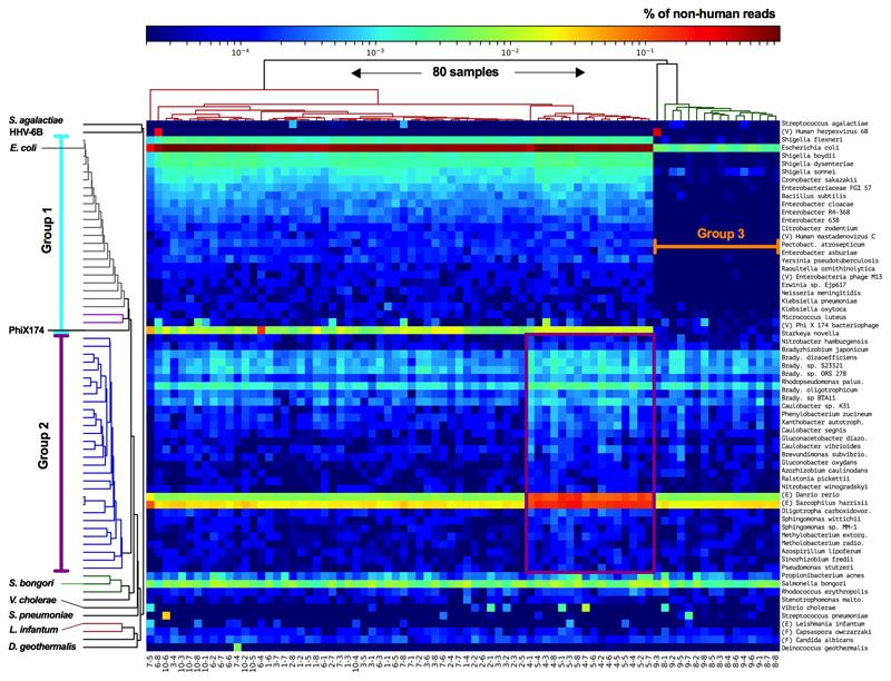 https://cdn.ncbi.nlm.nih.gov/pmc/blobs/8805/6697540/de86c15f07c8/EMS83569-f008.jpg
