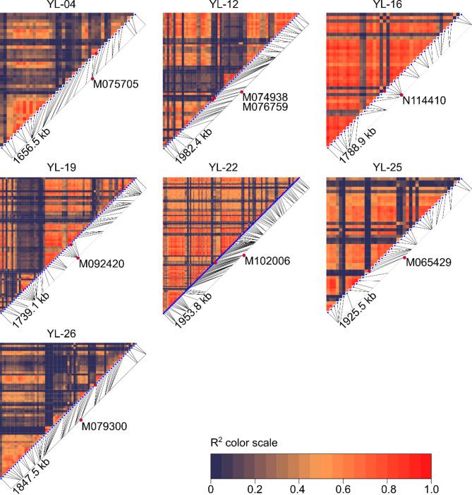 https://cdn.ncbi.nlm.nih.gov/pmc/blobs/8809/12046050/9ce955a5cd46/41598_2025_96_Fig7_HTML.jpg