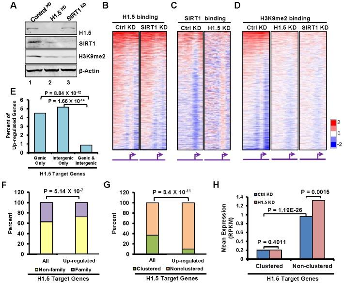 https://cdn.ncbi.nlm.nih.gov/pmc/blobs/880a/3431313/c05361a9feb6/pgen.1002879.g005.jpg