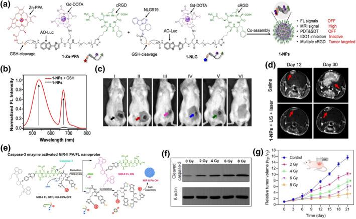 https://cdn.ncbi.nlm.nih.gov/pmc/blobs/880b/12118303/9abc6f852238/SMO2-2-e20240033-g011.jpg
