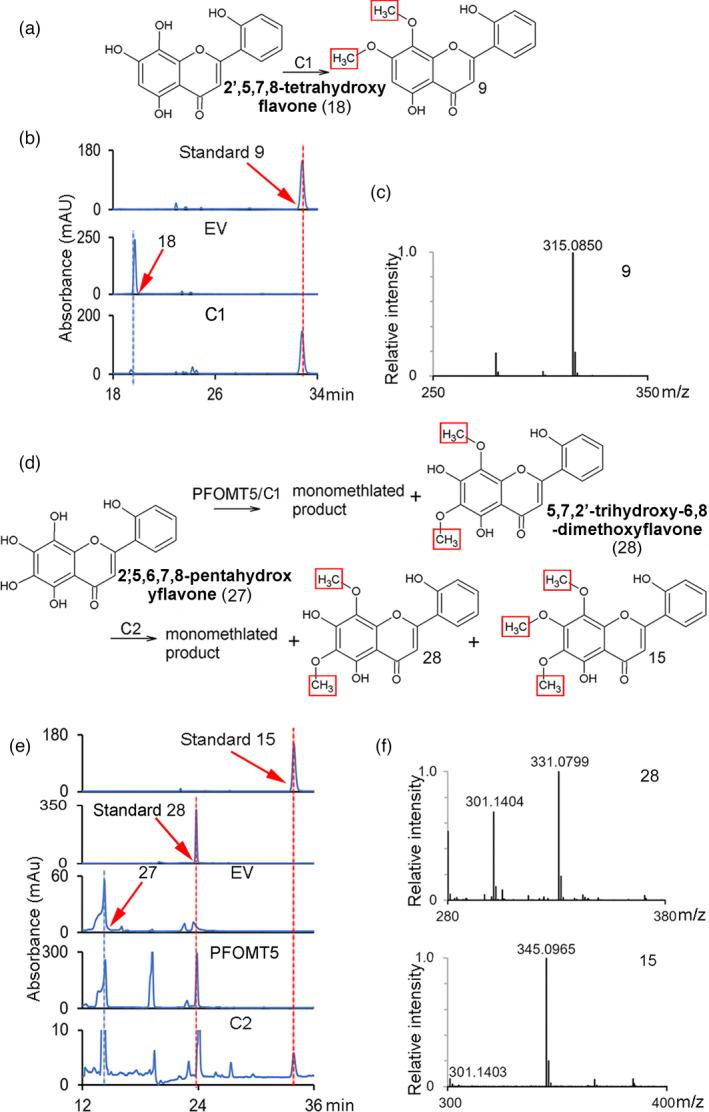https://cdn.ncbi.nlm.nih.gov/pmc/blobs/880c/11383334/16936cc571e5/PBI-20-129-g001.jpg