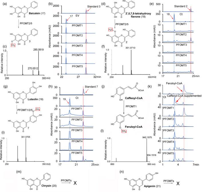 https://cdn.ncbi.nlm.nih.gov/pmc/blobs/880c/11383334/409bf49d3c52/PBI-20-129-g004.jpg