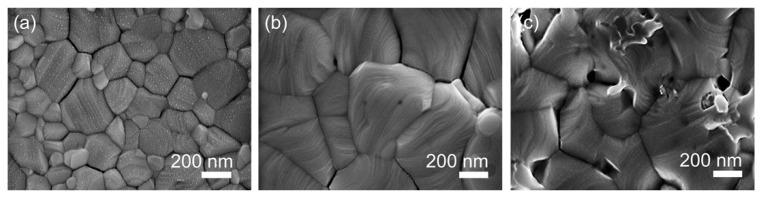 https://cdn.ncbi.nlm.nih.gov/pmc/blobs/880f/10821043/8cd46a9278ee/nanomaterials-14-00172-g001.jpg