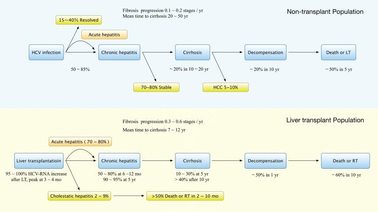 https://cdn.ncbi.nlm.nih.gov/pmc/blobs/880f/4521260/dafbbf5d3831/JCTH-2-124-g001.jpg
