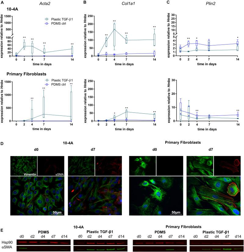 https://cdn.ncbi.nlm.nih.gov/pmc/blobs/880f/7582034/0ba594191408/fphys-11-567675-g005.jpg