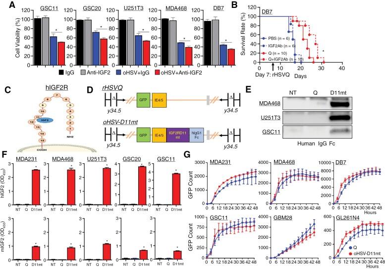https://cdn.ncbi.nlm.nih.gov/pmc/blobs/8810/11376453/d2e09e7611d3/noae105_fig3.jpg