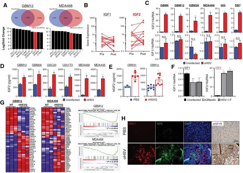 https://cdn.ncbi.nlm.nih.gov/pmc/blobs/8810/11376453/f577fa634cc6/noae105_fig1.jpg