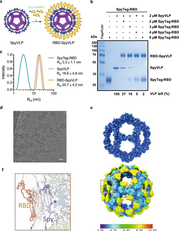 https://cdn.ncbi.nlm.nih.gov/pmc/blobs/8810/7822889/2ae027cff719/41467_2020_20654_Fig1_HTML.jpg