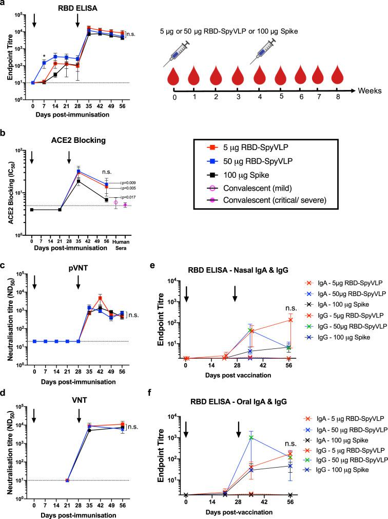 https://cdn.ncbi.nlm.nih.gov/pmc/blobs/8810/7822889/c9c5d25fc481/41467_2020_20654_Fig4_HTML.jpg