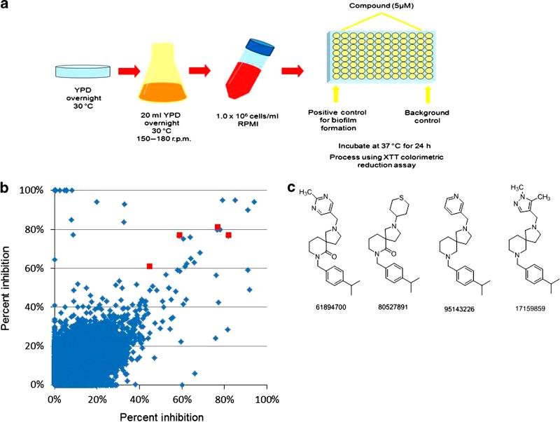 https://cdn.ncbi.nlm.nih.gov/pmc/blobs/8811/5515214/0088f36c3c68/npjbiofilms201512-f1.jpg