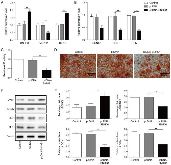 https://cdn.ncbi.nlm.nih.gov/pmc/blobs/8811/7533455/bbb27acaac97/MMR-22-05-3715-g02.jpg