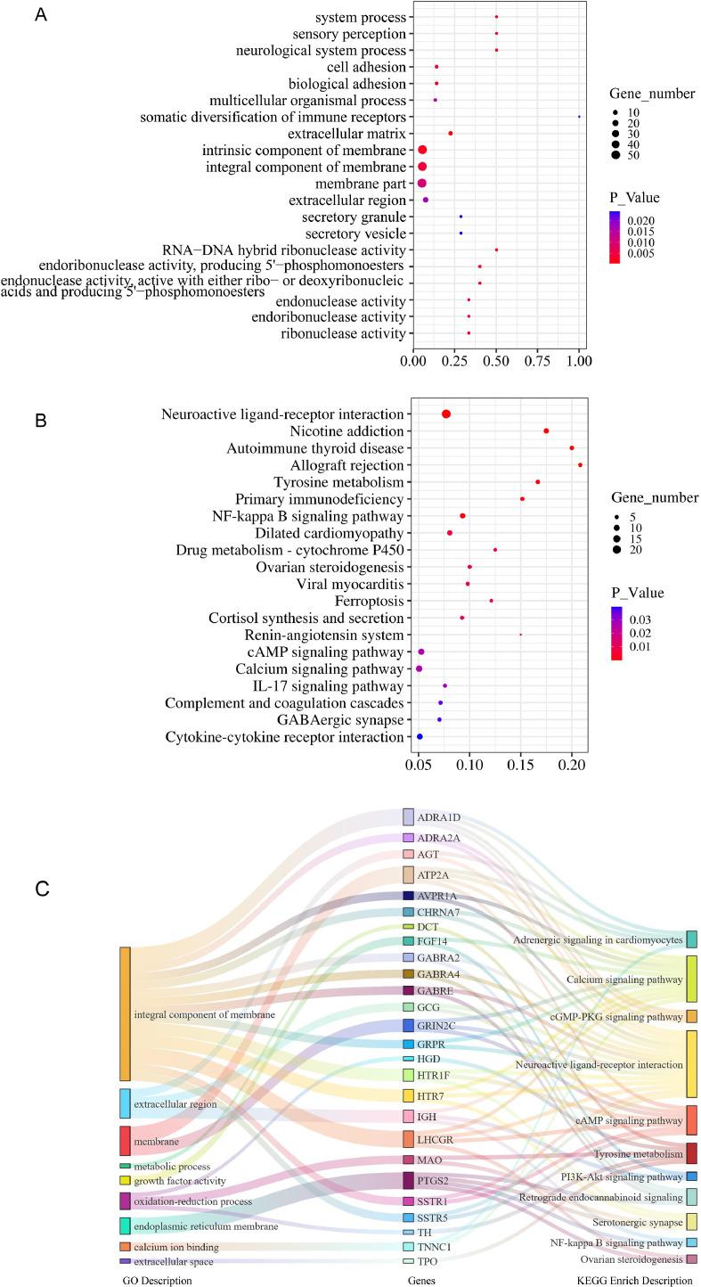 https://cdn.ncbi.nlm.nih.gov/pmc/blobs/8812/12059380/49467994bfe7/gr3.jpg