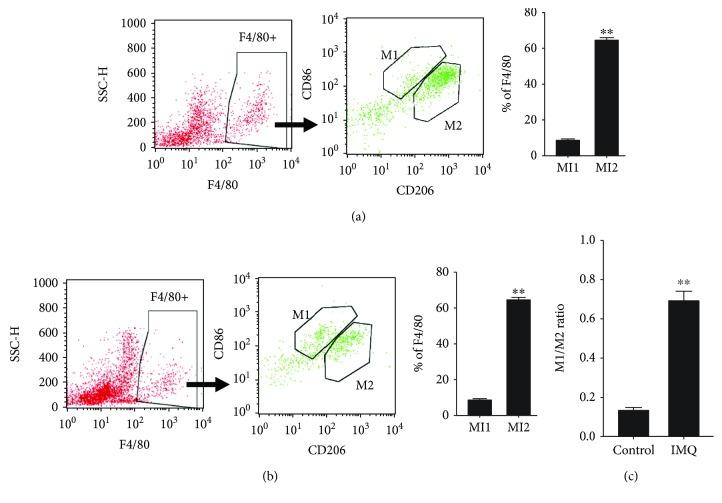 https://cdn.ncbi.nlm.nih.gov/pmc/blobs/8818/6311781/fd0135bd2cd8/MI2018-3523642.003.jpg