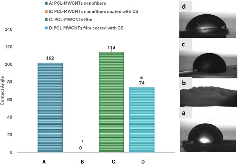 https://cdn.ncbi.nlm.nih.gov/pmc/blobs/8822/11252133/5d57ed5f431a/41598_2024_66497_Fig3_HTML.jpg