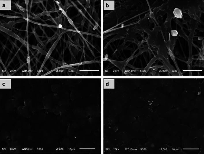 https://cdn.ncbi.nlm.nih.gov/pmc/blobs/8822/11252133/fcaefb2e4451/41598_2024_66497_Fig1_HTML.jpg