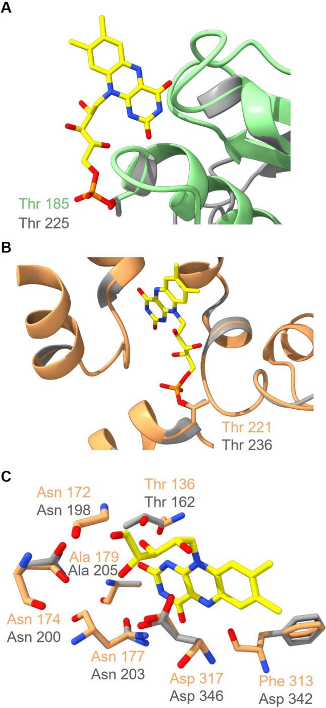 https://cdn.ncbi.nlm.nih.gov/pmc/blobs/8823/10739449/d1c4146b8cc3/203_2023_3769_Fig10_HTML.jpg