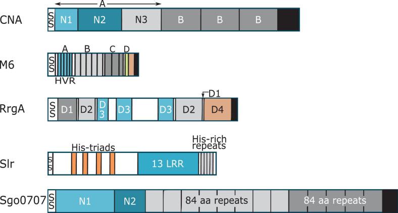 https://cdn.ncbi.nlm.nih.gov/pmc/blobs/8823/7893114/08831368257c/fmicb-12-628798-g001.jpg