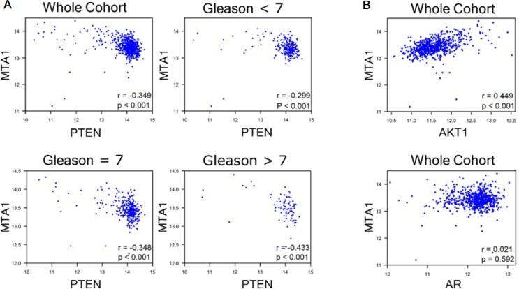 https://cdn.ncbi.nlm.nih.gov/pmc/blobs/8827/4951302/b9e9219ffe69/oncotarget-07-18469-g003.jpg