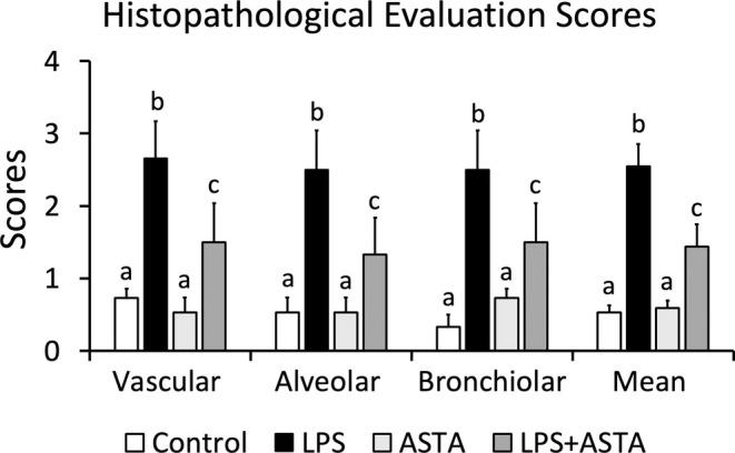 https://cdn.ncbi.nlm.nih.gov/pmc/blobs/8829/12069755/186a9b626fcd/TOX-40-924-g002.jpg
