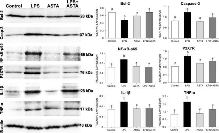 https://cdn.ncbi.nlm.nih.gov/pmc/blobs/8829/12069755/e4635c9b97e5/TOX-40-924-g001.jpg