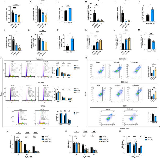 https://cdn.ncbi.nlm.nih.gov/pmc/blobs/8829/12205496/ccd8a89fafef/40478_2025_2051_Fig3_HTML.jpg