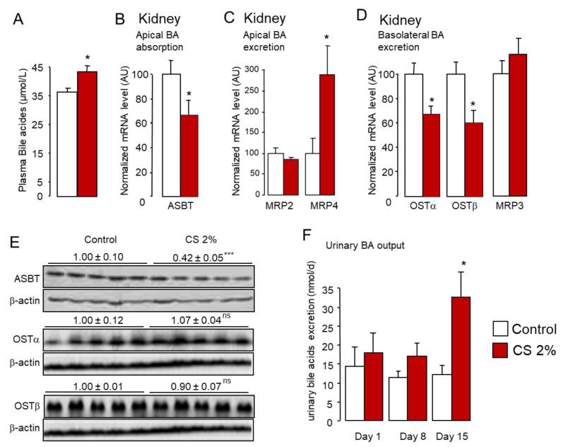 https://cdn.ncbi.nlm.nih.gov/pmc/blobs/882b/8269105/a3aded2f7b8a/ijms-22-07163-g007.jpg