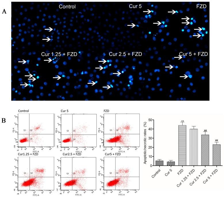 https://cdn.ncbi.nlm.nih.gov/pmc/blobs/882c/6272881/877e5ea26d2b/molecules-21-01061-g005.jpg