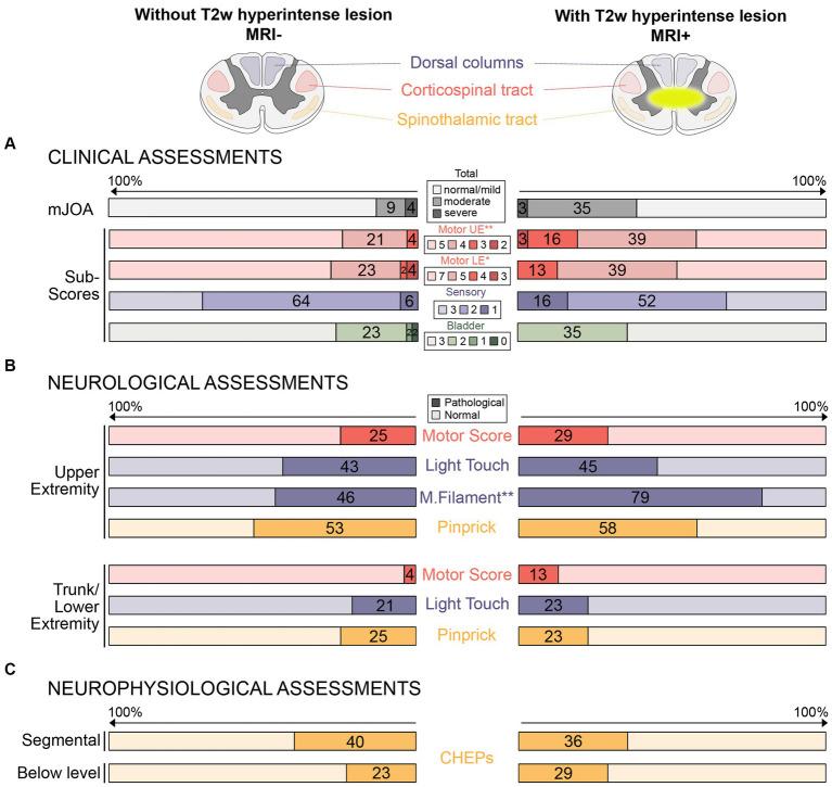 https://cdn.ncbi.nlm.nih.gov/pmc/blobs/882e/11228334/99e0a775c71d/fneur-15-1411182-g001.jpg