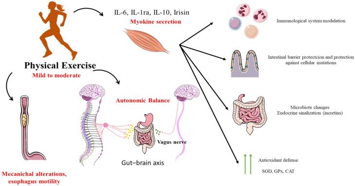 https://cdn.ncbi.nlm.nih.gov/pmc/blobs/882e/11899784/41c0b63146cf/jcm-14-01708-g001.jpg