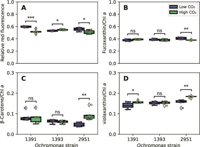 https://cdn.ncbi.nlm.nih.gov/pmc/blobs/8832/12086424/7358ba99c5ee/ycaf064f4.jpg