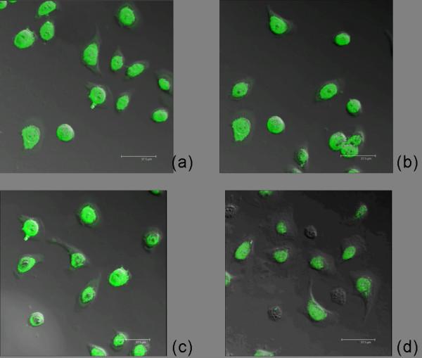 https://cdn.ncbi.nlm.nih.gov/pmc/blobs/8834/2890551/e0183e1fec49/1756-9966-29-63-3.jpg