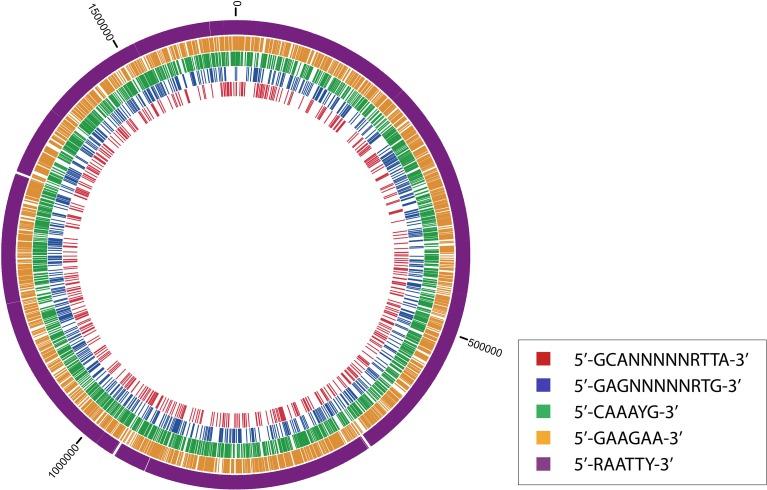 https://cdn.ncbi.nlm.nih.gov/pmc/blobs/8834/4294202/f97eb789e223/fmicb-05-00782-g0002.jpg