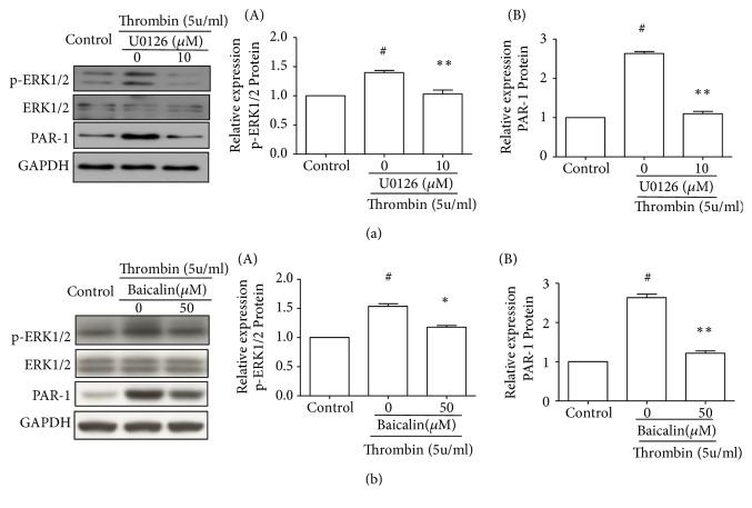 https://cdn.ncbi.nlm.nih.gov/pmc/blobs/8834/6699368/708f7845be67/BMRI2019-2187306.004.jpg