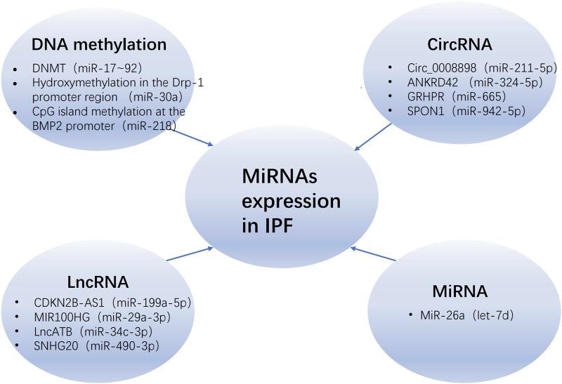 https://cdn.ncbi.nlm.nih.gov/pmc/blobs/8837/11521927/601838c27e67/fcell-12-1470875-g002.jpg