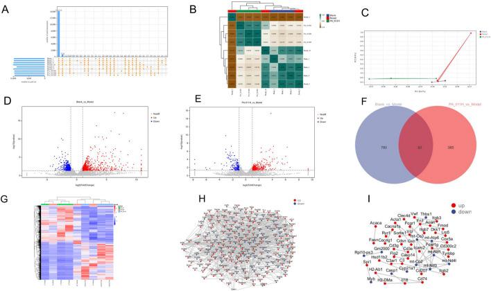 https://cdn.ncbi.nlm.nih.gov/pmc/blobs/8837/12365694/1c1c1272a178/fphar-16-1590648-g007.jpg
